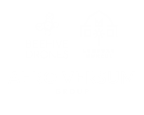 Beehive Drones Partner Logo