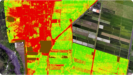 Crop Health Assessment