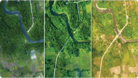 Wood Volume Assessment & Tree Counting